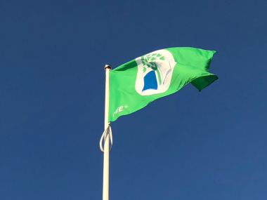 Det grønne flag på Søndermarkskolen